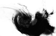 水墨增稠劑場(chǎng)景應(yīng)用圖 水墨增稠劑場(chǎng)景應(yīng)用圖